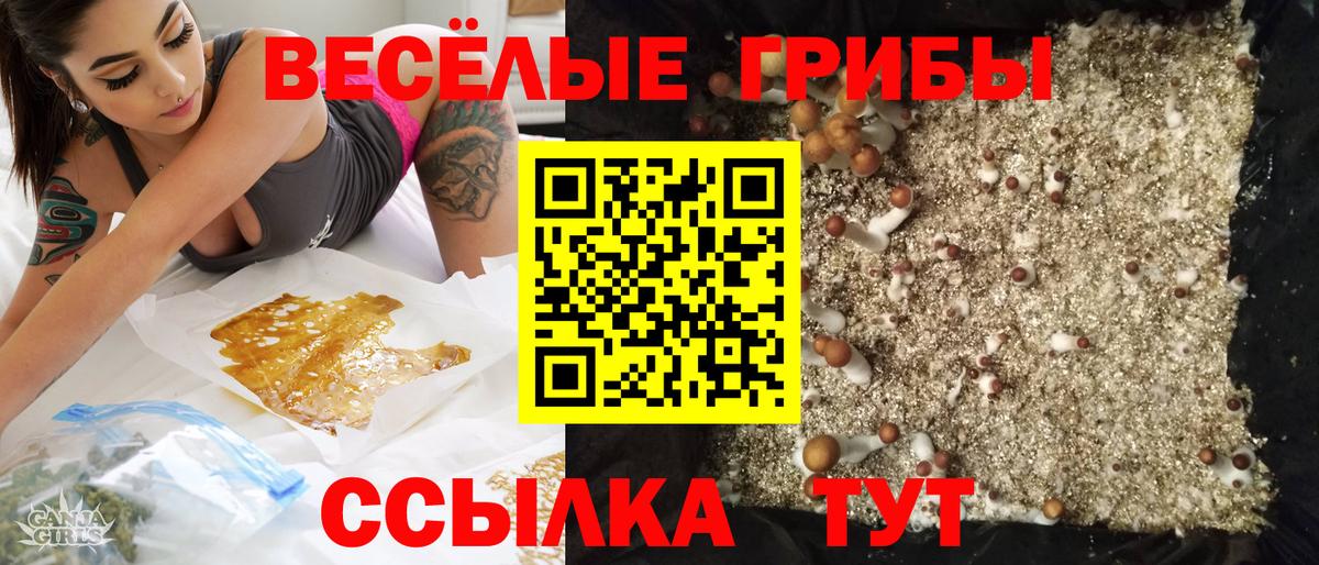 Фролово  Галлюциногенные грибы прущие грибы  Вход с VPN  Галлюциногенные грибы ЛСД 