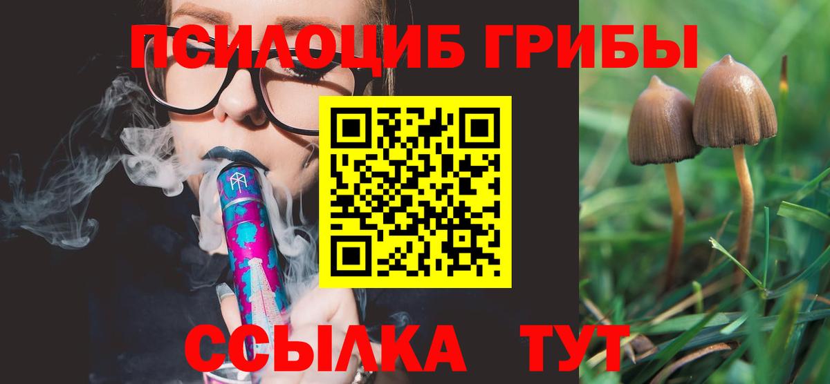 Галлюциногенные грибы MAGIC MUSHROOMS Фролово